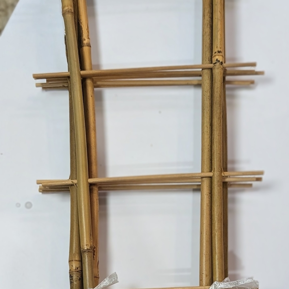Natural Bamboo Plant Trellises (5)